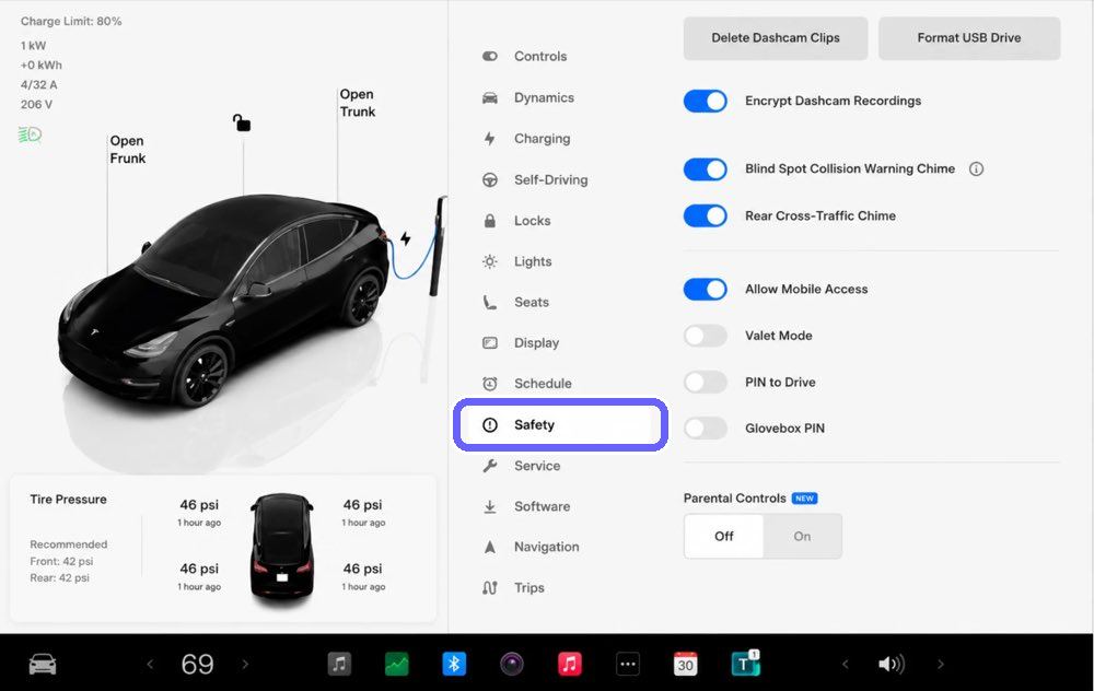 Tesla Controls screen with the Safety tab highlighted